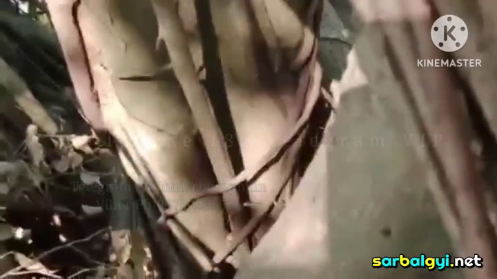 အားမရလို့ အပေါ်ကတက်ဆော