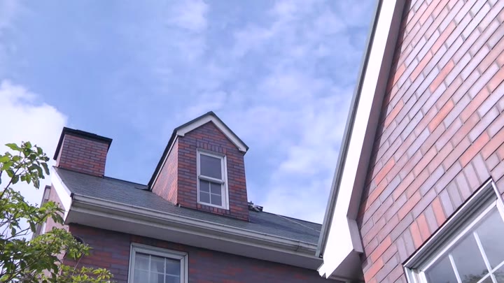 SPSE-49-SEXTB NET-12252025-SV1