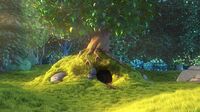 Big_Buck_Bunny_1080_10s_30MB_Copy_6_