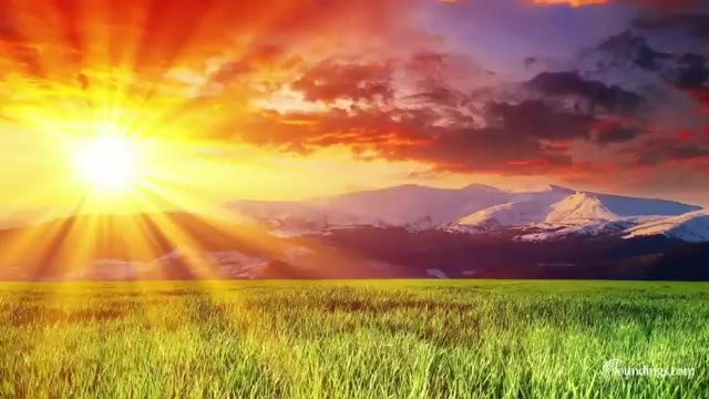 with Earth Resonance Frequency for Deeper Relaxation