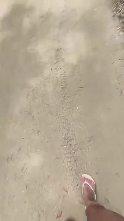 Nicole 98+sucks+a+stranger's+cock+on+the+beach+2023-08-01 15